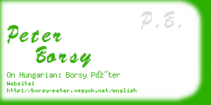 peter borsy business card